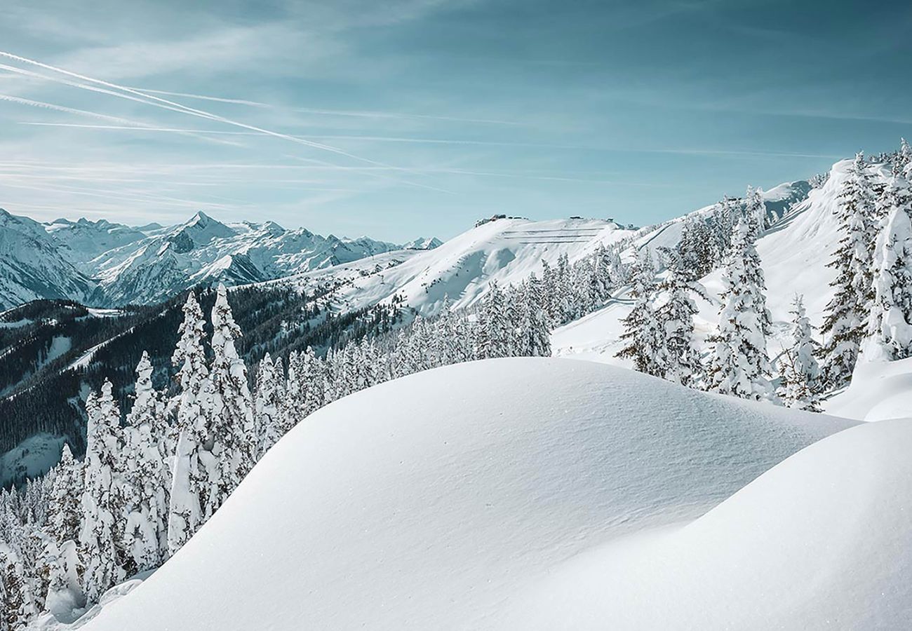 Chalet in Kaprun - First IN Mountain Chalet C